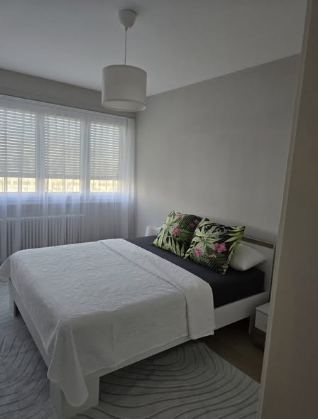 Bel appartement meublé à Meyrin proche du CERN, 2 chambres