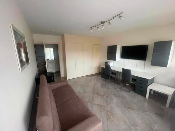 1.5-room fully furnished studio in Gaillard