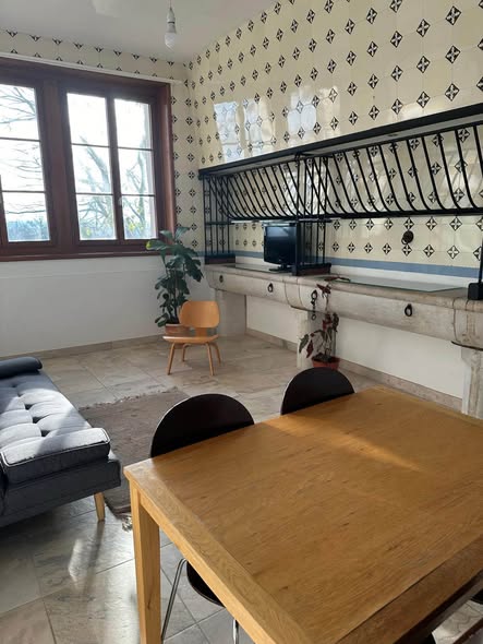 Appartement lumineux de 2 pièces à Ferney Voltaire