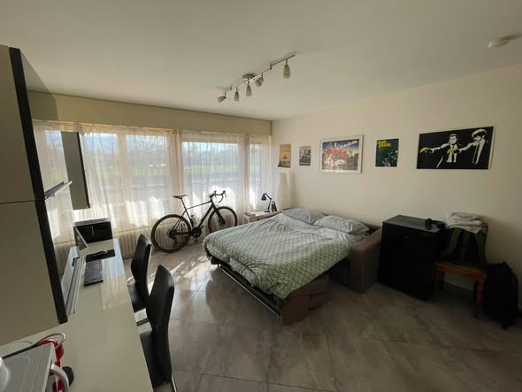 1.5-room furnished studio in Gaillard, France